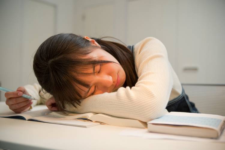 記事イメージ画像