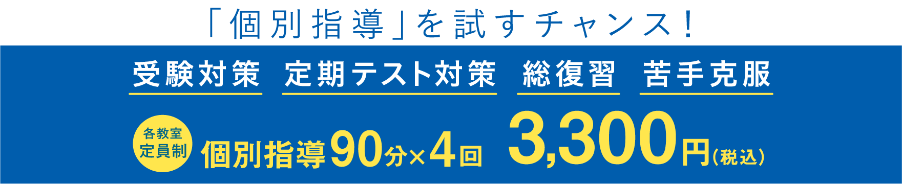 冬休みに「個別指導」を試すチャンス！ 受験対策 定期テスト対策 総復習 苦手克服 各教室 定員制 個別指導 90分×4回 3,300円（税込）