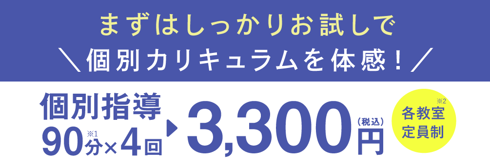 個別指導90分×4回 3,300円(税込)各教室定員制