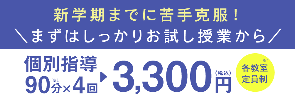 個別指導90分×4回 3,300円(税込)各教室定員制