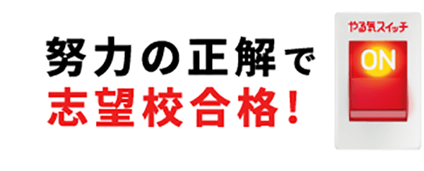 努力の正解で志望校合格!