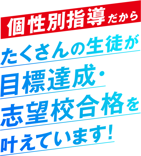 個性別指導だから たくさんの生徒が目標達成・志望校合格を叶えています！