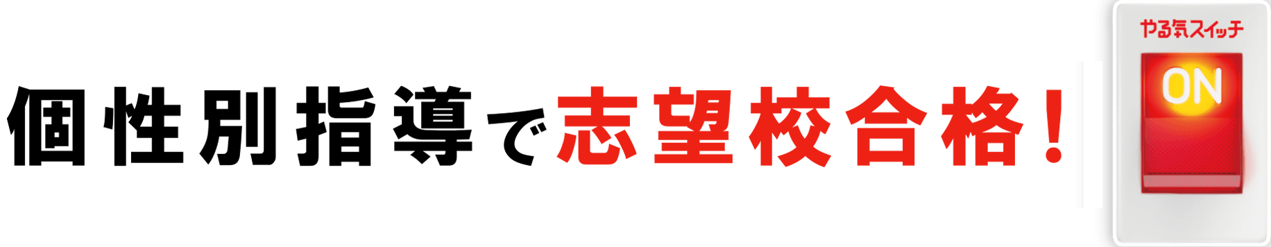 個性別指導で志望校合格！