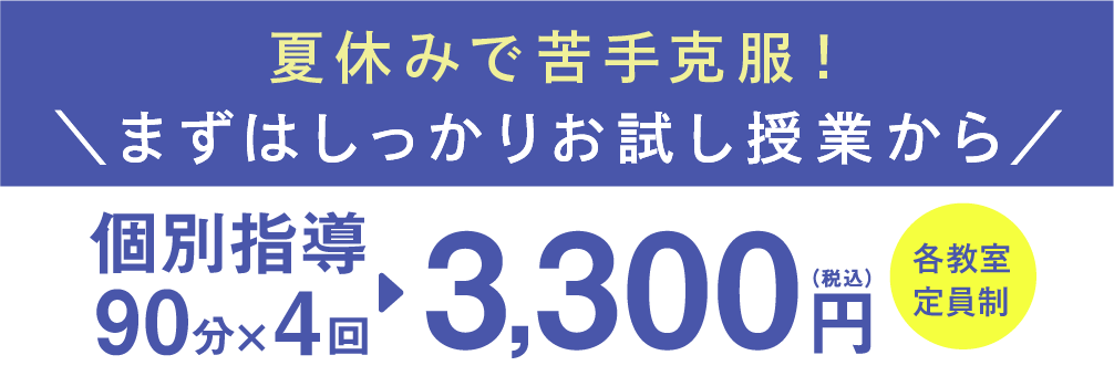 個別指導90分×4回 3,300円(税込)各教室定員制