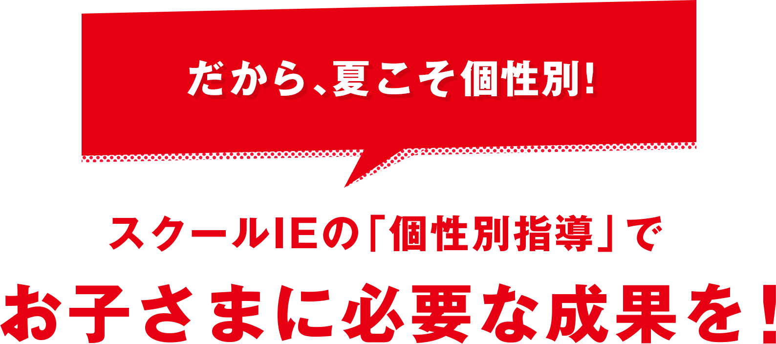 だから、スクールIEで個性別！ スクールIEの「個性別指導」で お子さまに必要な成果を！