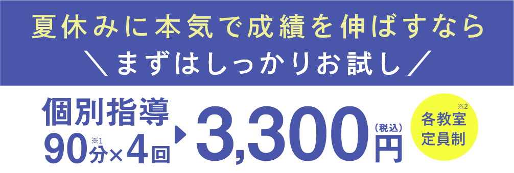 個別指導90分×4回 3,300円(税込)各教室定員制