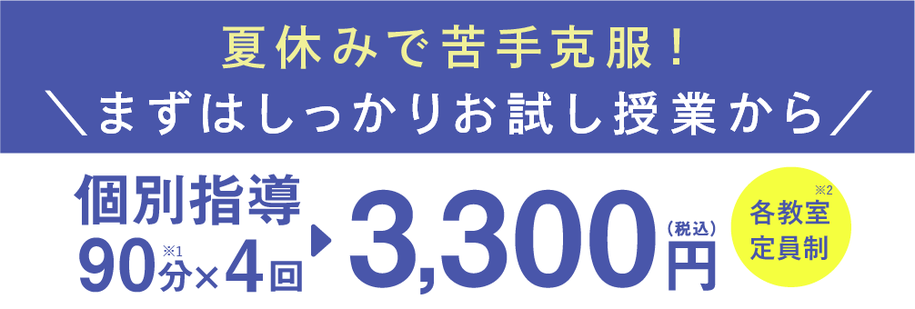 個別指導90分×4回 3,300円(税込)各教室定員制