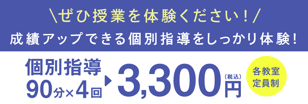 個別指導90分×4回 3,300円(税込)各教室定員制