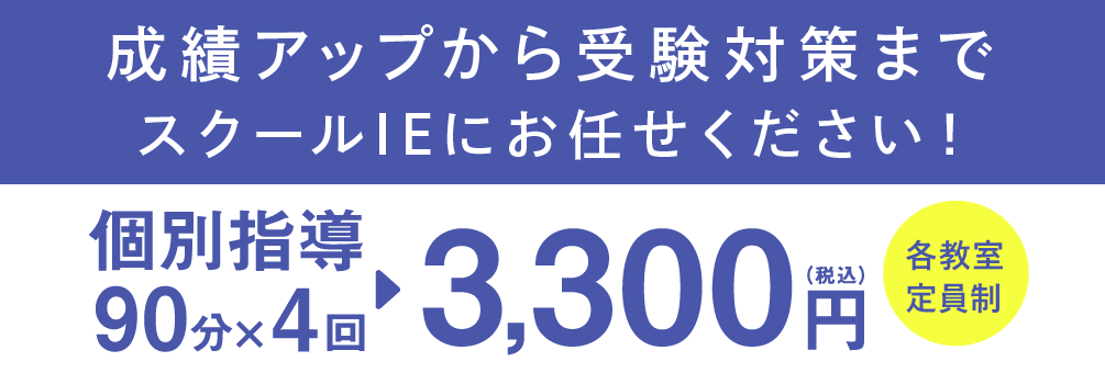 個別指導90分×4回 3,300円(税込)各教室定員制