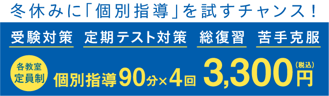 冬休みに「個別指導」を試すチャンス! 受験対策 定期テスト対策 総復習 苦手克服 各教室 定員制 個別指導 90分×4回 3,300円(税込)