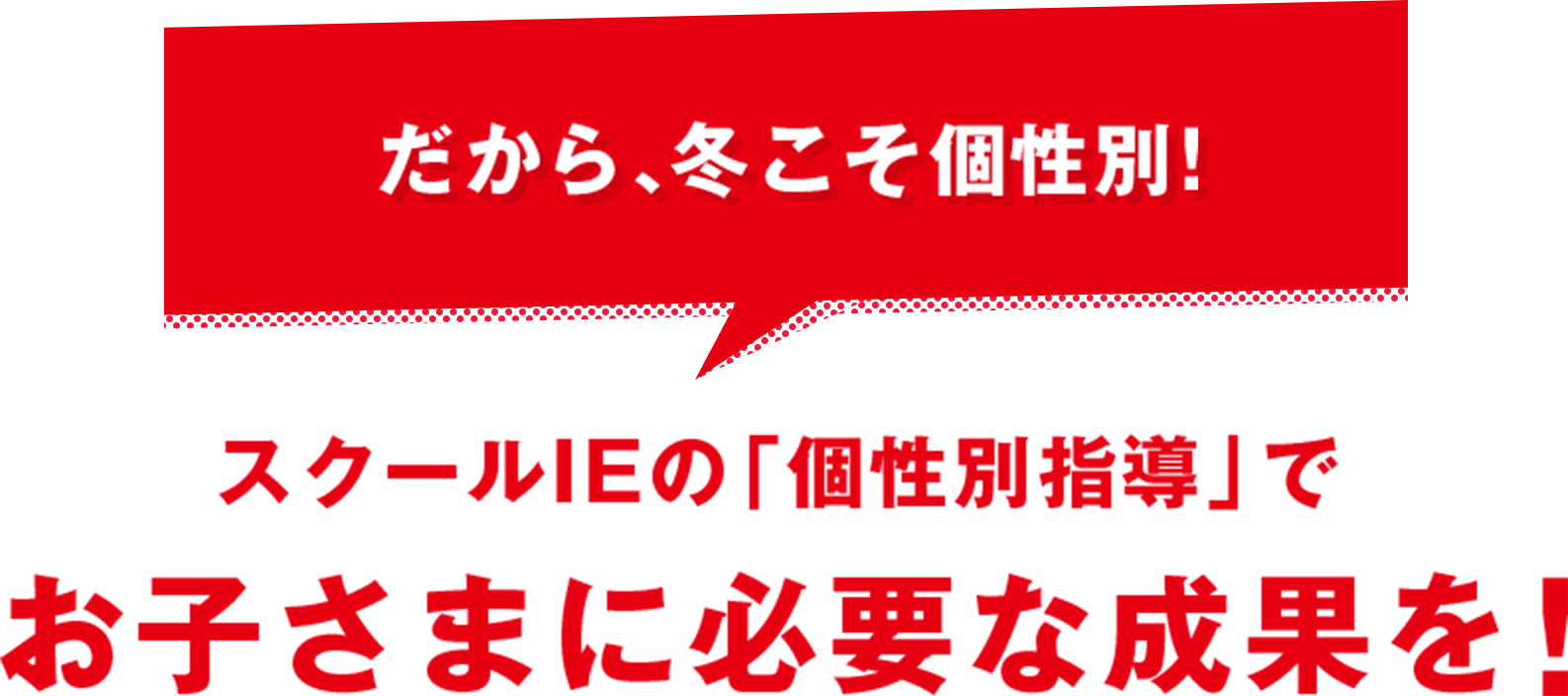 だから、冬こそ個性別! スクールIEの「個性別指導」で お子さまに必要な成果を!