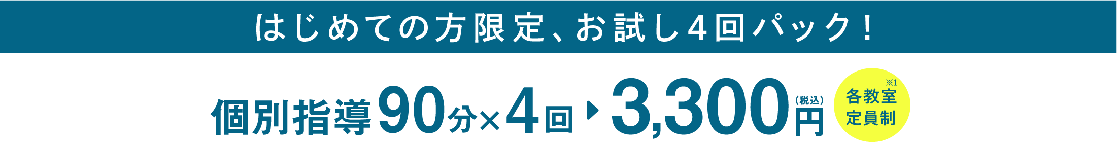 個別指導 90 分 ×4 回