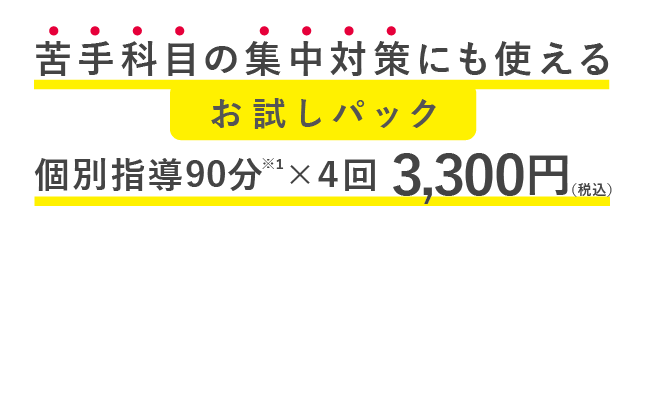 定期テストの集中対策にも使える個別指導90分×４回 3300円