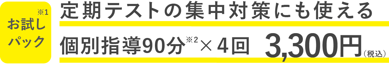 定期テストの集中対策にも使える個別指導90分×４回 3300円