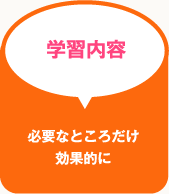 学習内容 必要なところだけ効果的に