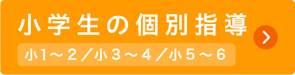 中学生の個別指導