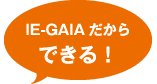 IE-GAIAだからできる！