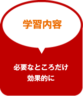 学習内容 必要なところだけ効果的に