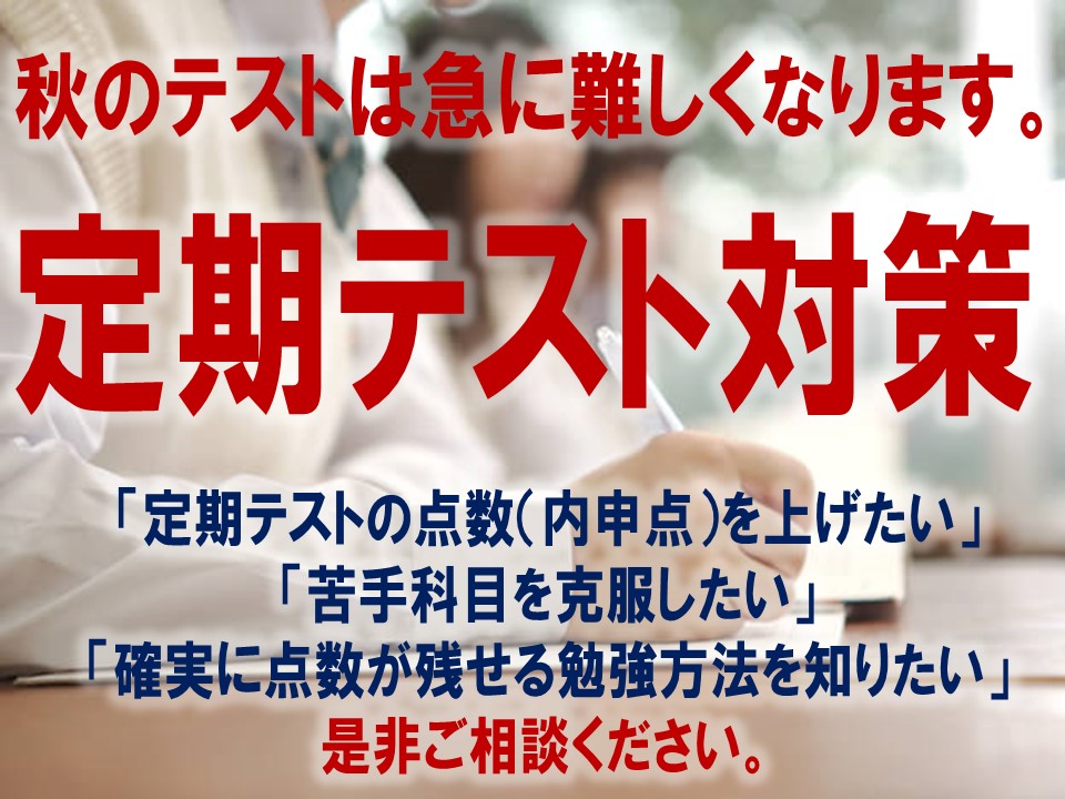 浦和領家校 スクールie 個別指導 学習塾 埼玉県さいたま市浦和区