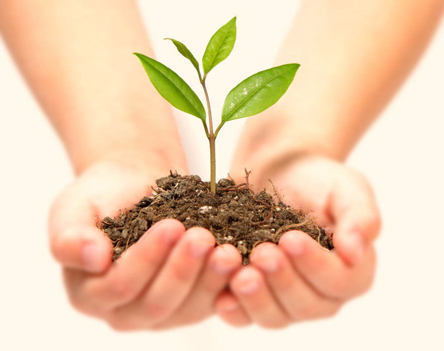 やる気スイッチ先生