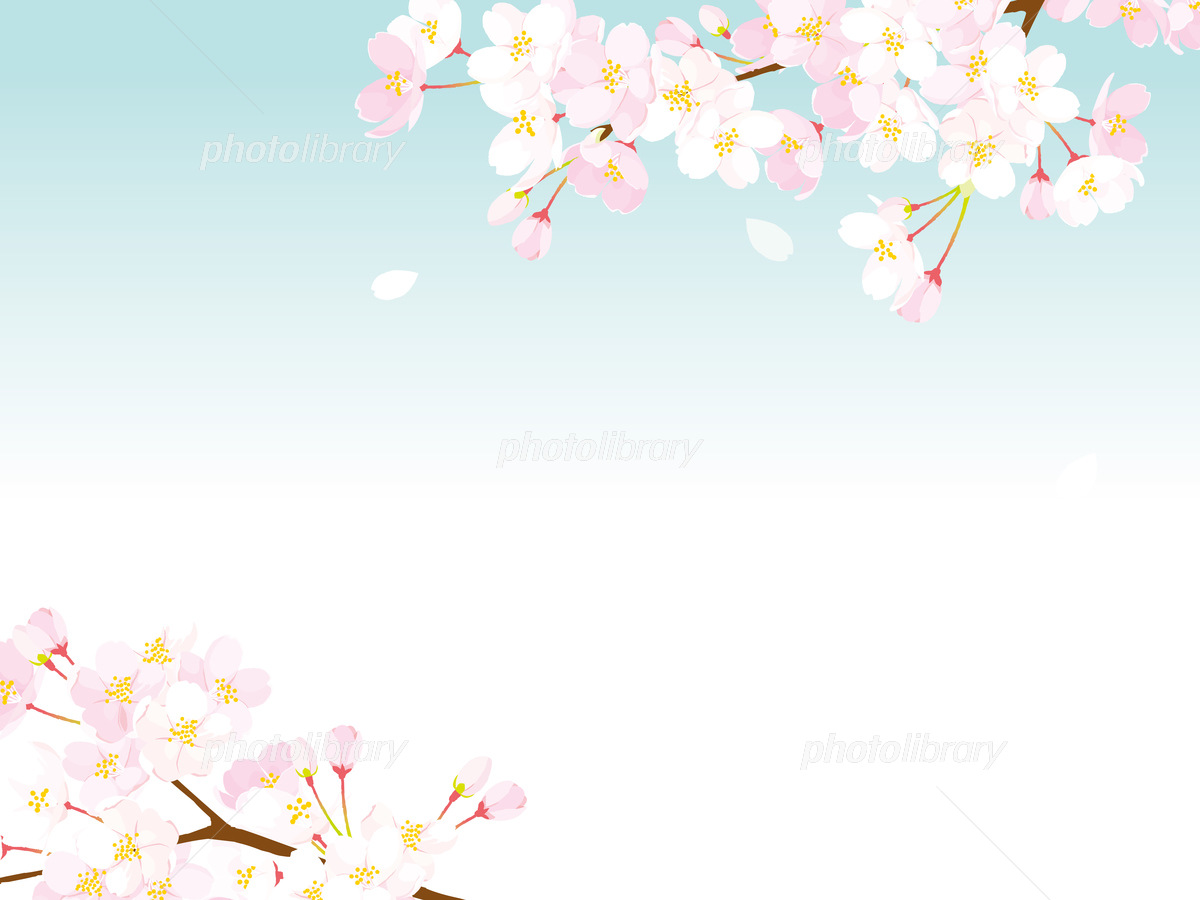 最も共有された 背景画像 桜 背景画像 イラスト 桜