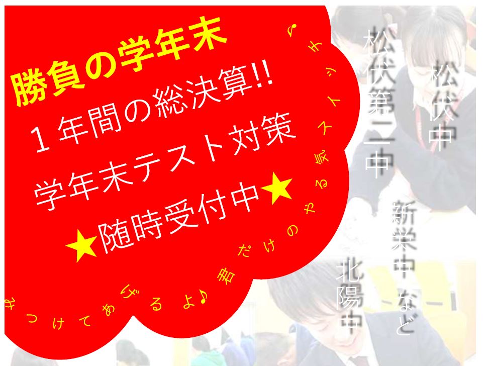 松伏校 スクールie 個別指導 学習塾 埼玉県北葛飾郡松伏町