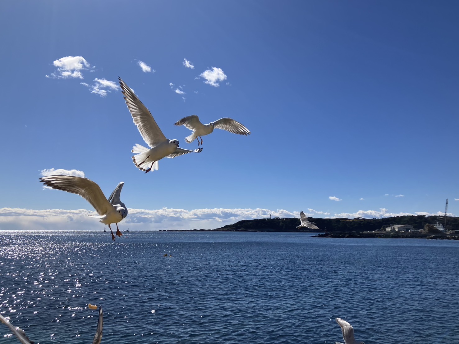 三浦海岸校