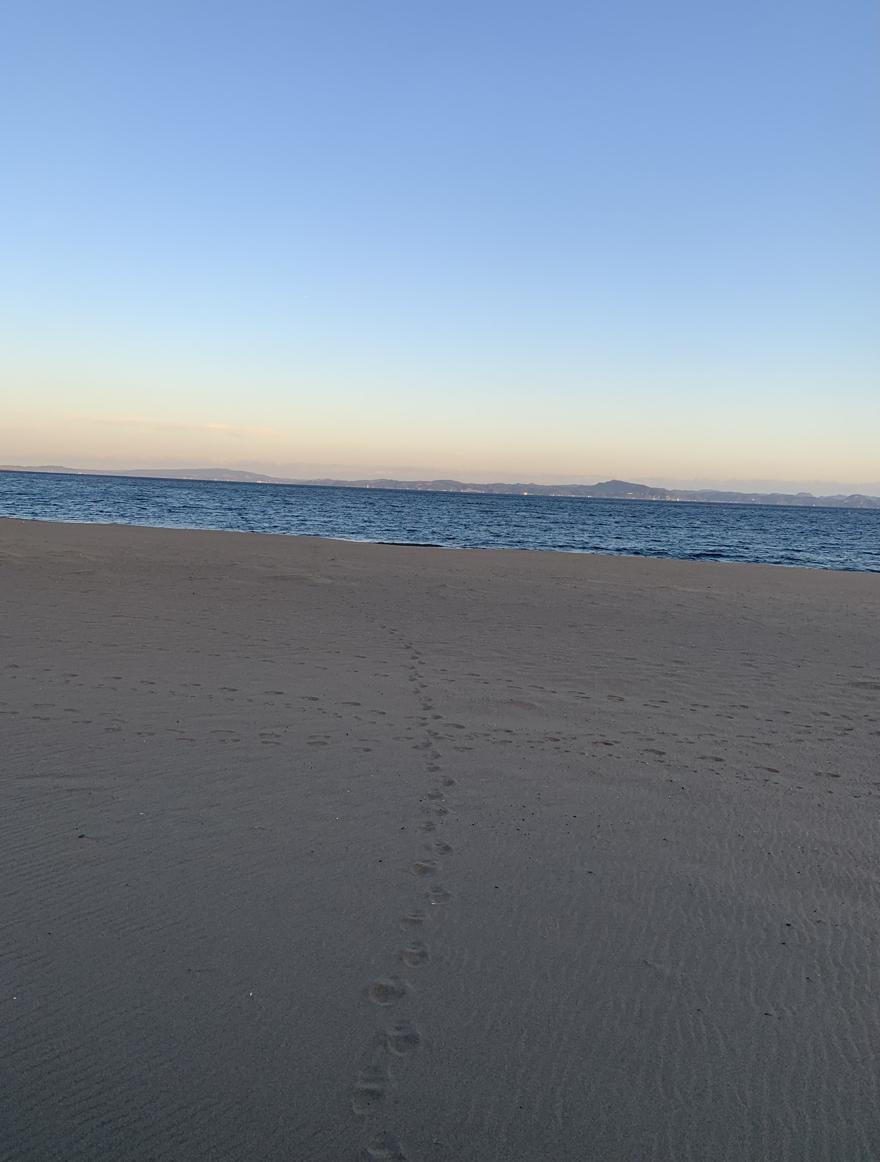 海のように広い視点で