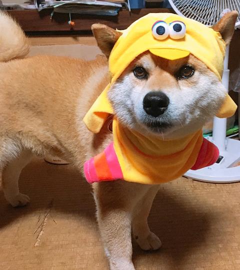 イメチェン☆