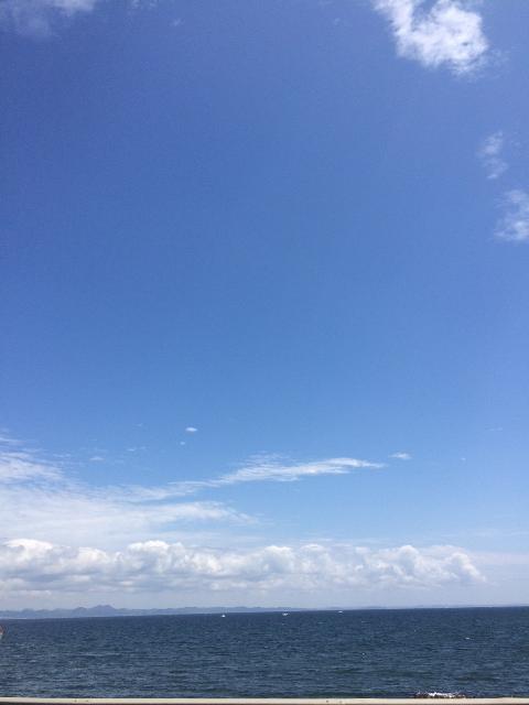 海のように広い視点で