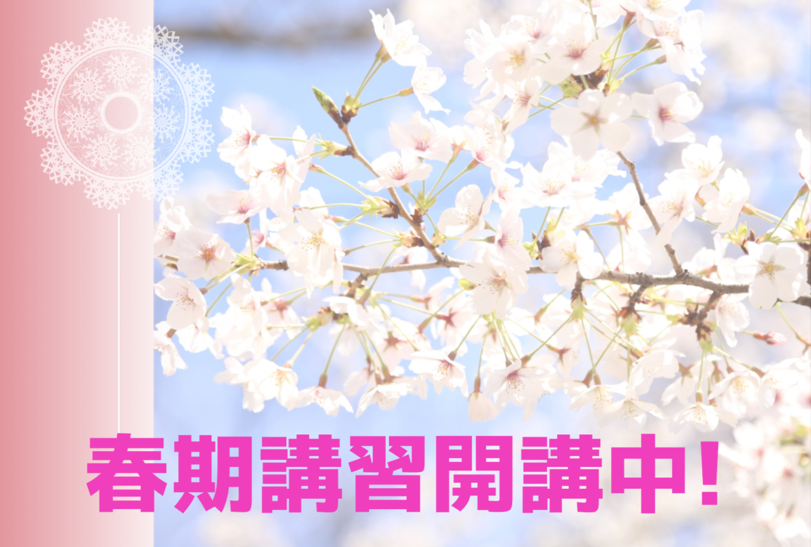 成績UP！さらにやる気もUP！！