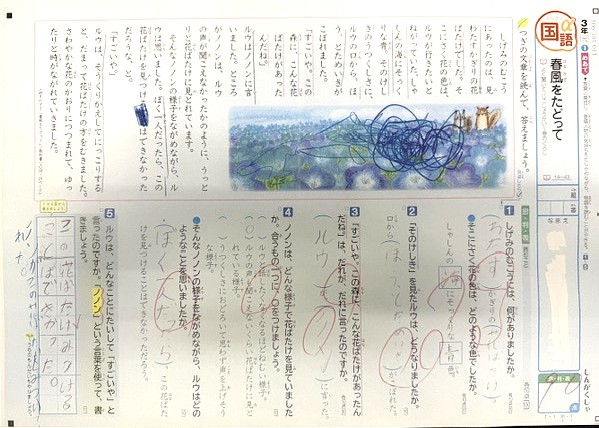 佐波小学校T君