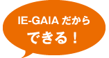 IE-GAIAだからできる!